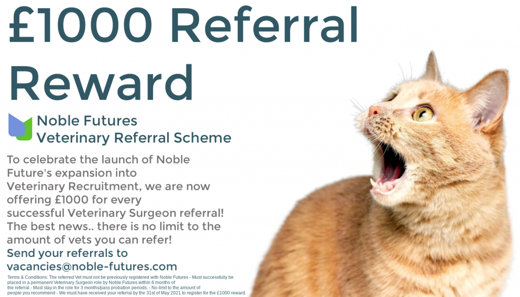 Noble Futures launch £1000 Veterinary Referral Reward