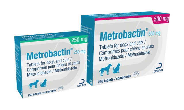 Metrobactin the first veterinary licensed metronidazole tablet for the treatment of anaerobic infections in dogs and cats.