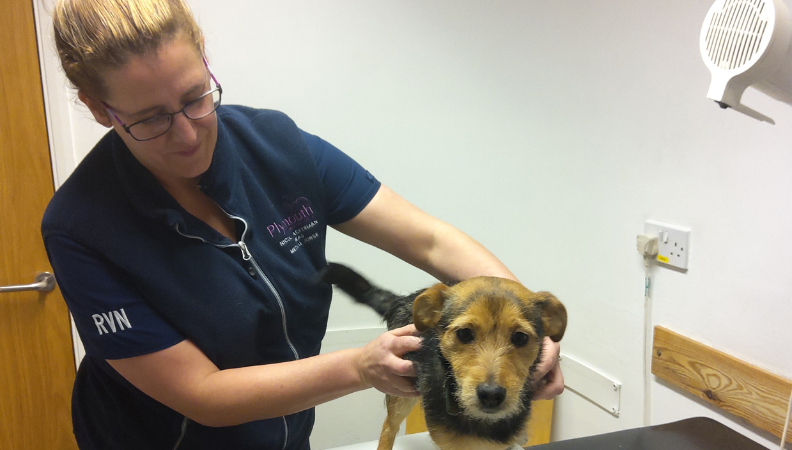 Nicola Lakeman wins BSAVA award for outstanding contribution to small animal vet nursing