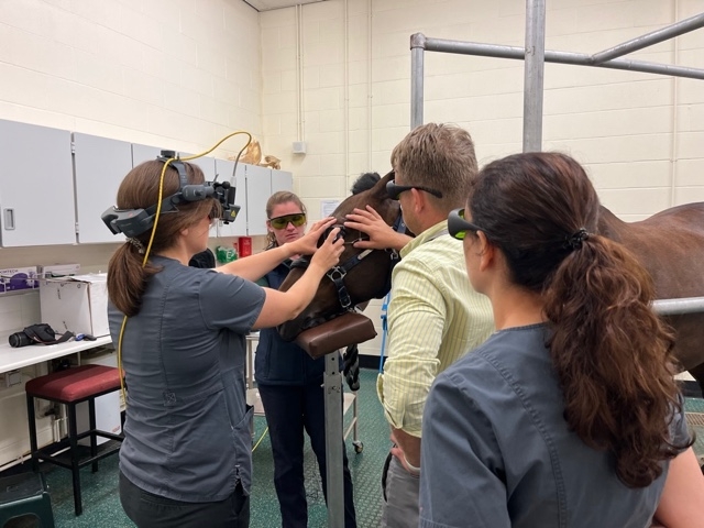 DWR Veterinary Specialists has launched a new laser eye treatment for horses and dogs.