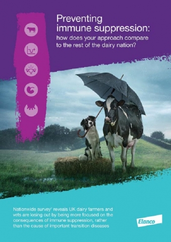 Vets are being urged to focus on the cause of transition disease 