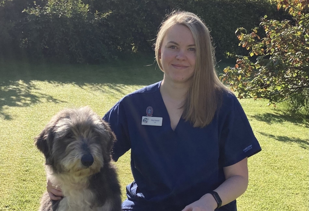 Pets’n’Vets in Glasgow has been honoured with a prestigious award for its high quality of care for dogs.