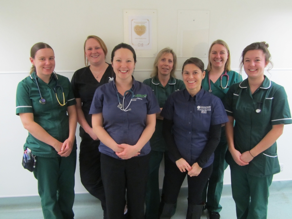 Left to right: Laura Warren, Sonya Miles, Jemma Hildrew, Kati Heddington, Elisabetta Mancinelli, Jess Randall-Willsher and Gemma Compton-Holloway.
