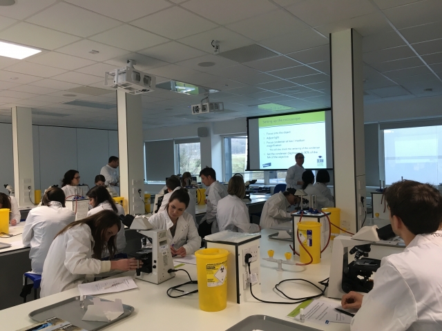 A session at the conference in progress