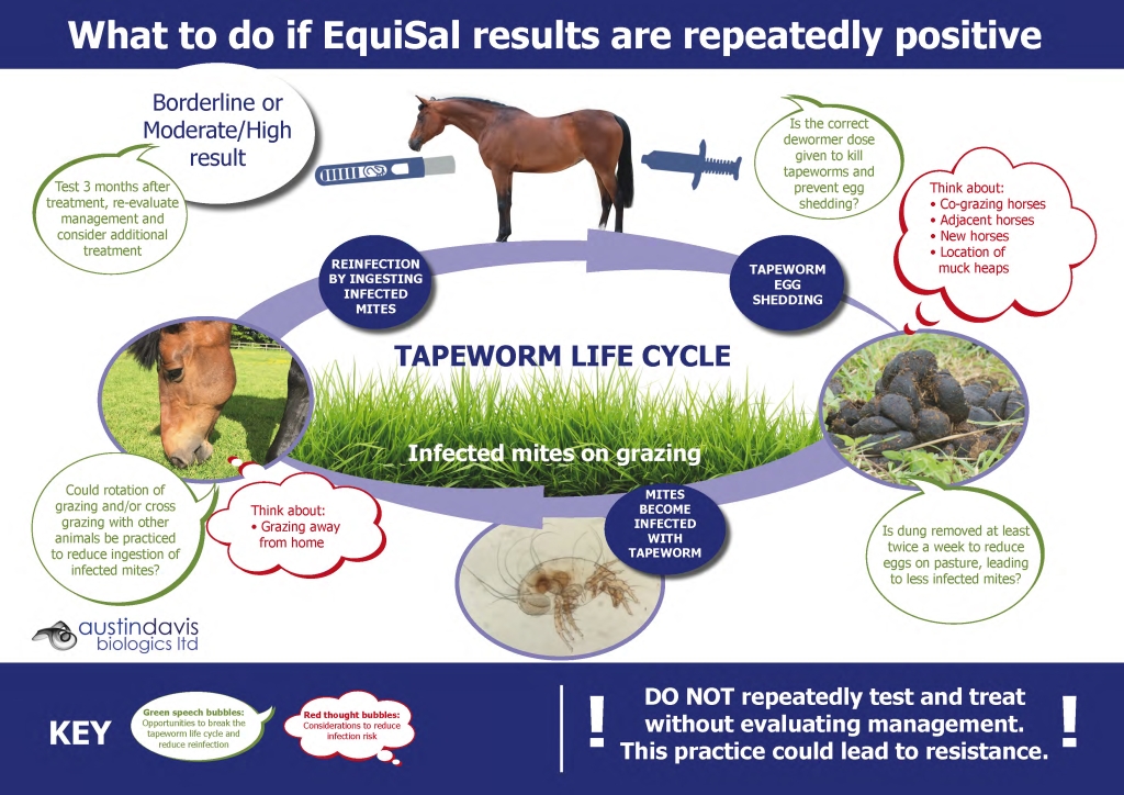 EquiSal lifecycle diagram