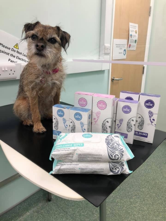 Berri - Copyright VetSoothe IVC Evidensia