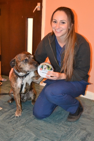Charlotte Tulk, Veterinary Nurse at Beaconsfield Vets and Buster the dog