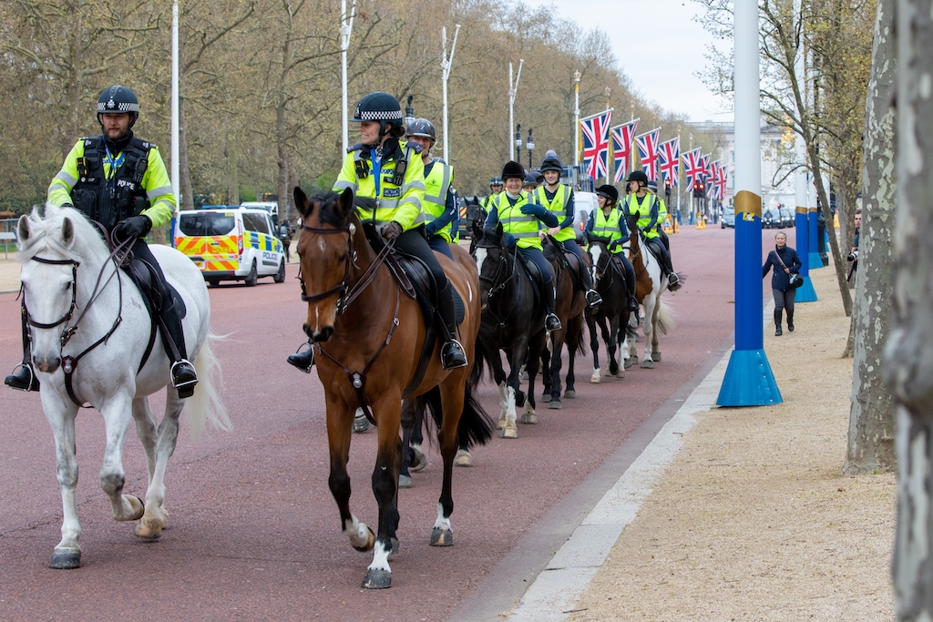 World Horse Welfare ride out through Westminster