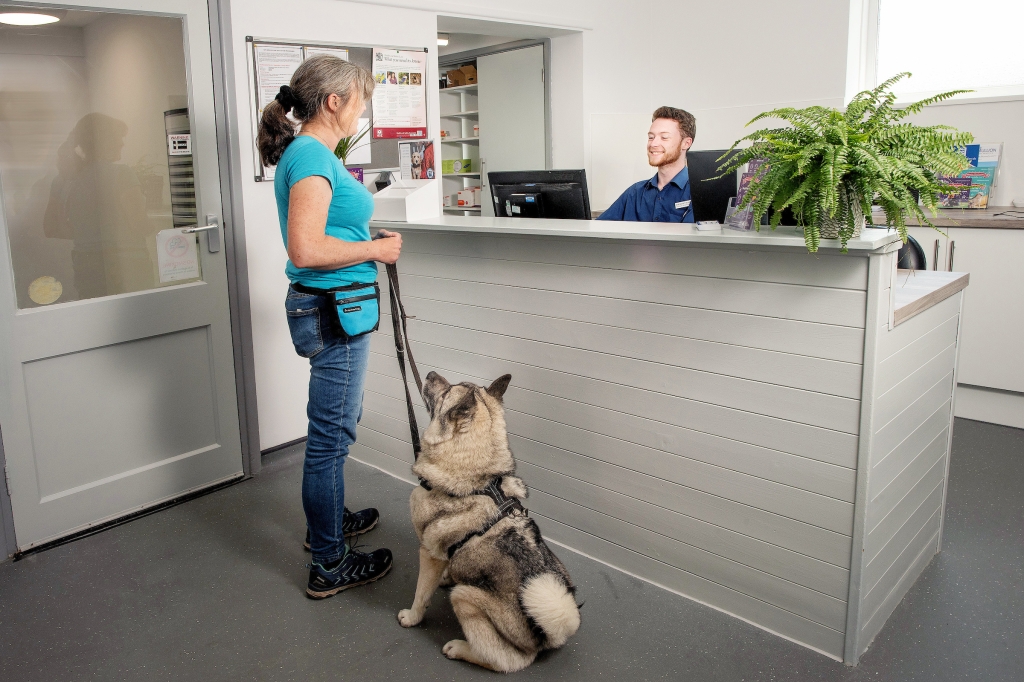 CVS’ Rosemullion Vets opens after £300,000 refurbishment / Veterinary Industry News / VetClick