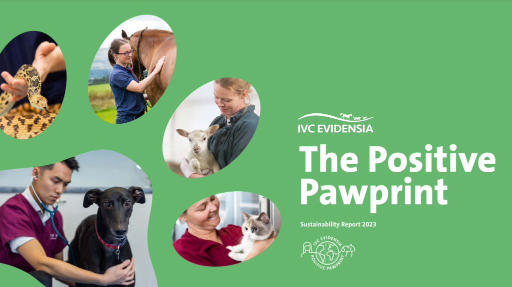The latest Positive Pawprint report celebrates sustainability milestones from across the group. 