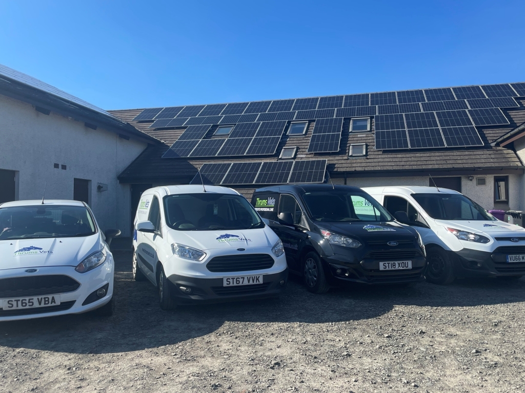 Solar panels have been installed at Thrums Vets’ Kirriemuir branch, meaning the entire surgery’s electrical needs and its team of 25 vets, nurses and support team are now fully powered by renewable energy.