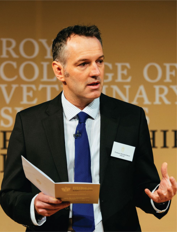 New Glossary to Improve Communication Around Veterinary Oncology