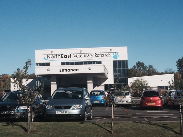 North East Veterinary Referrals Welcomes Turlough ONeill 