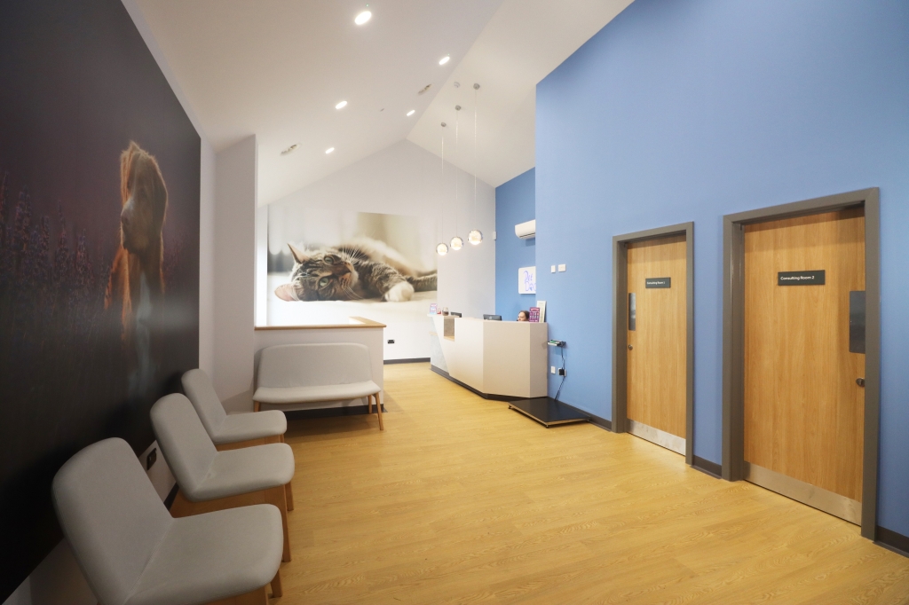 Pet Doctors vets opens doors to new larger practice / Veterinary