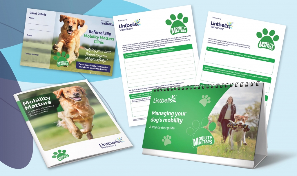 Lintbells new Mobility Matters initiative