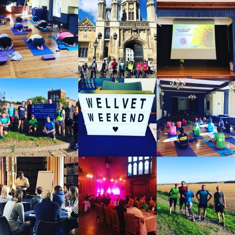 Sport, wellbeing workshops and great social times at the WellVet weekend.