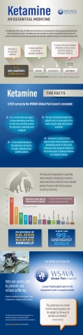The WSAVA's ketamine infographic