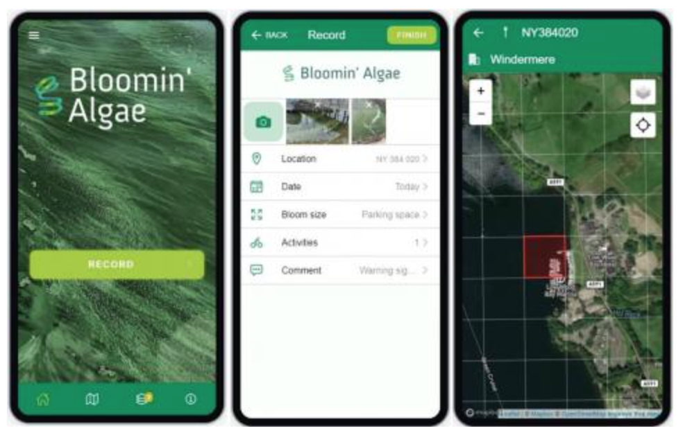 Screenshots of Bloomin Algae app