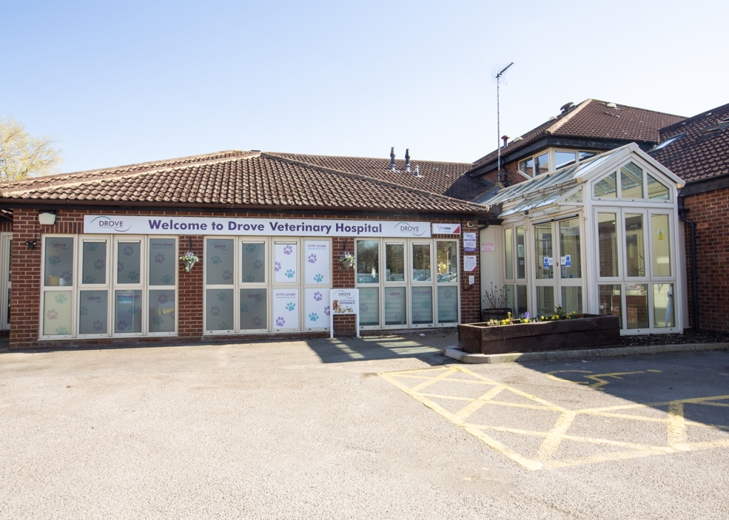 Drove Veterinary Hospital in Swindon