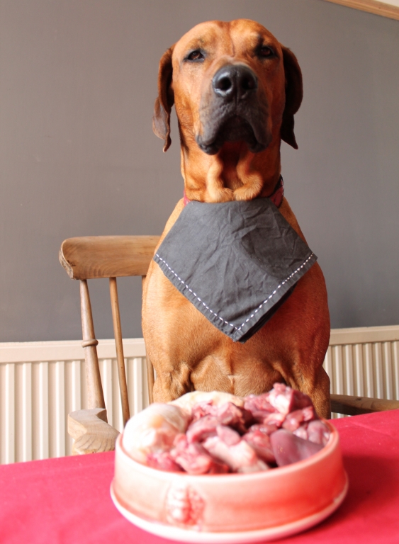 Credit Andrew Turner