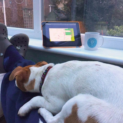 Steve Perkins MRCVS enjoying an excellent cardiac session with his Webinar vet mug - Bertie the JRT perhaps not so enthralled!