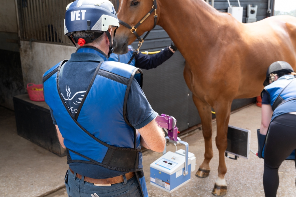 The meeting was in response to research highlighting the high risk of injury faced by equine clinicians