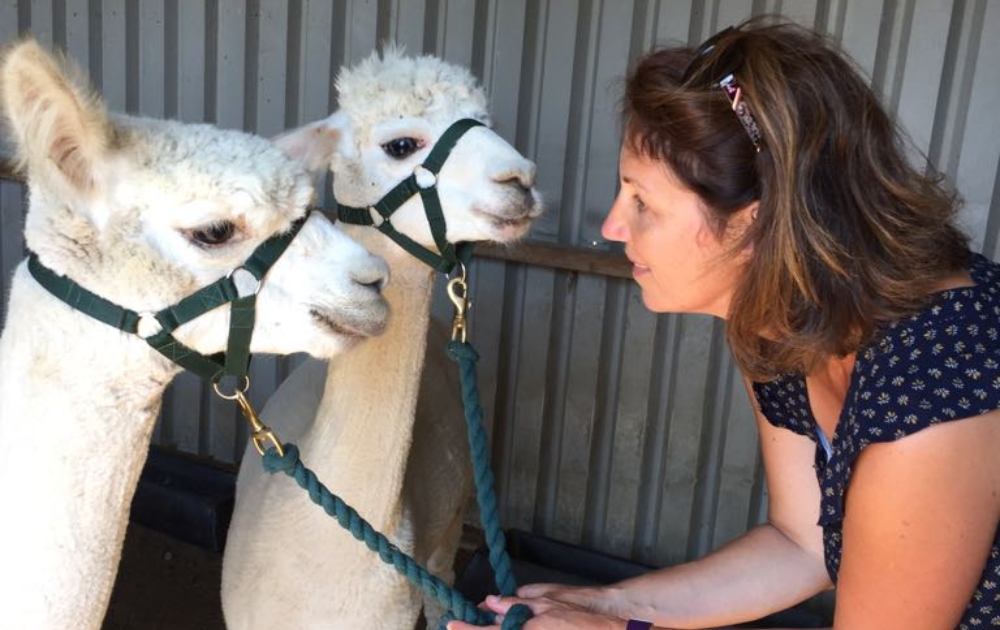 Lisa Giddings pictured with her two alpacas.