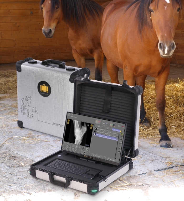  Leonardo DR mini III