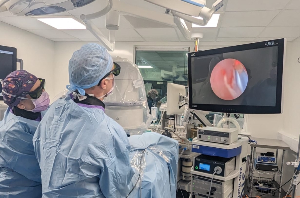 Livingston animal hospital Veterinary Specialists Scotland (VSS) performs three interventional procedures within the space of a week.