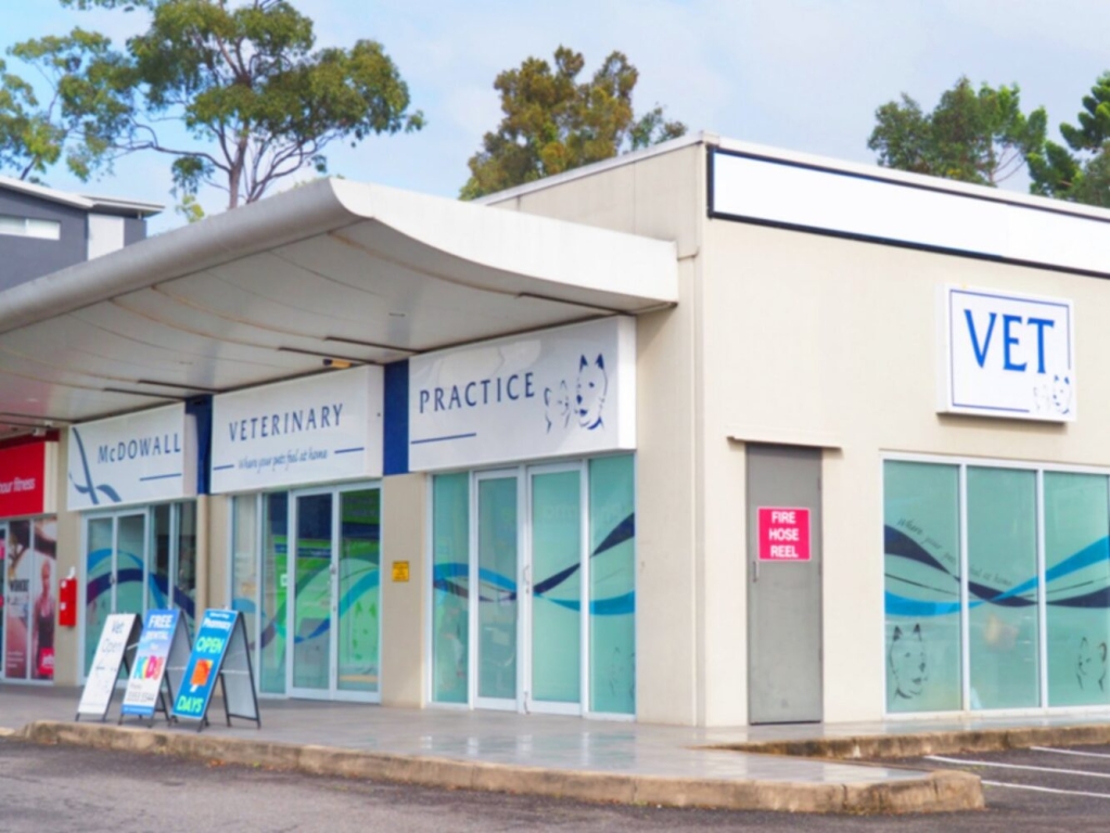 CVS enters Australian veterinary market / Veterinary Industry News