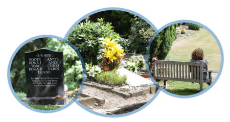 CVS is opening a new small animal and equine crematoria in Paignton