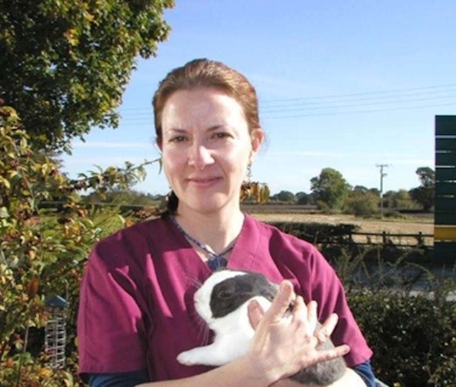 Molly Varga holding a guinea pig