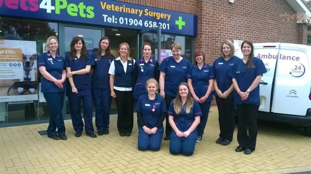 The team at Vets4Pets York