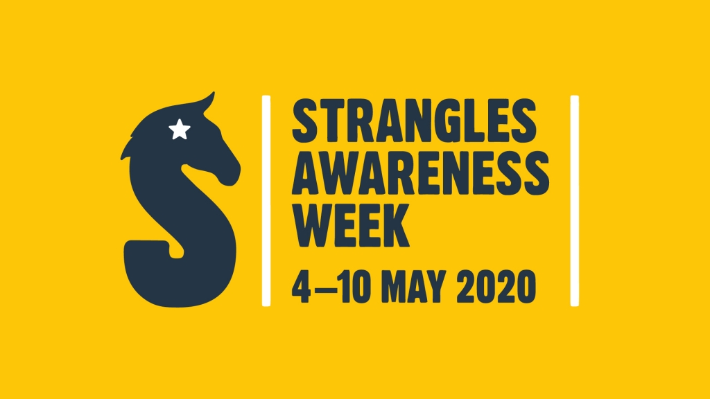 Strangles Awareness Week 2020