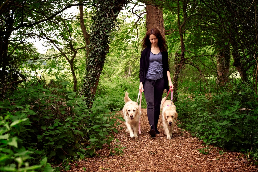 A dog lover with her pet enjoying the woodland walk provided by Anderson Moores veterinary specialists near Winchester, Hampshire
