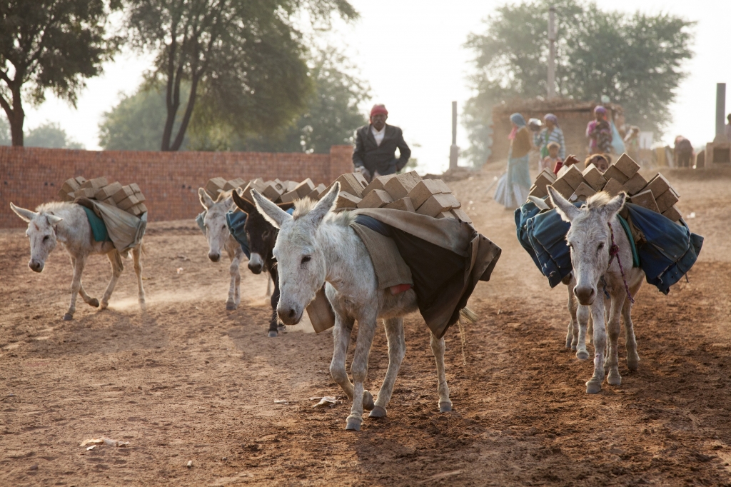 Brick kiln India - Picture credit The Donkey Sanctuary