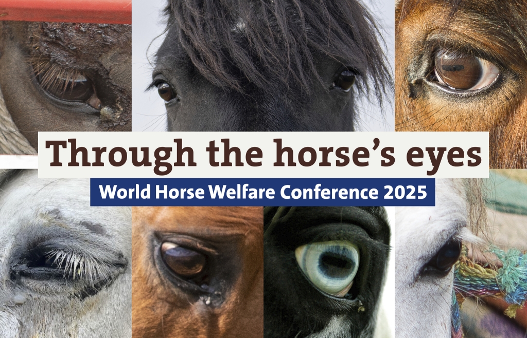 World Horse Welfare Conference banner 2025