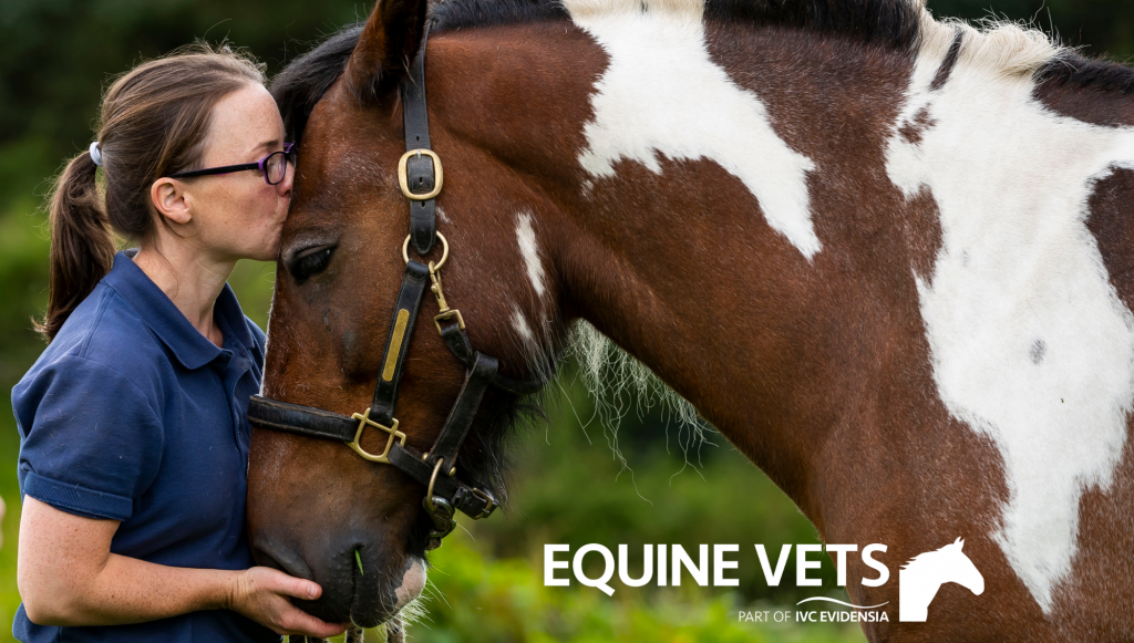 Photo of vet kissing horse on the head