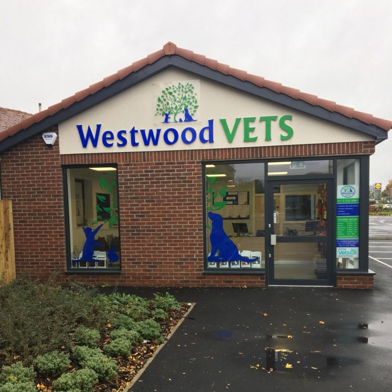 Westwood Vets' brand new Garforth branch