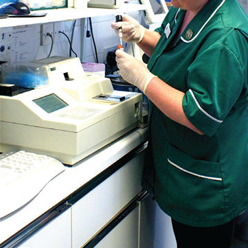 BSAVA launches new Lab Method Performance Verification Help Tool ...