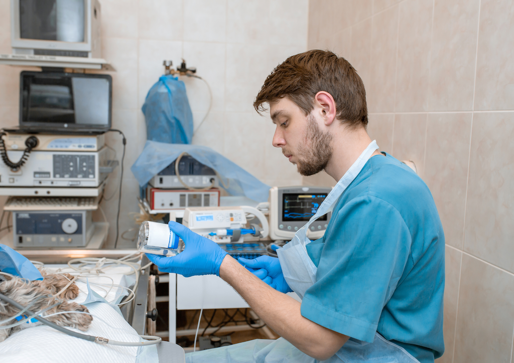 Vet nurse assisting in theatre