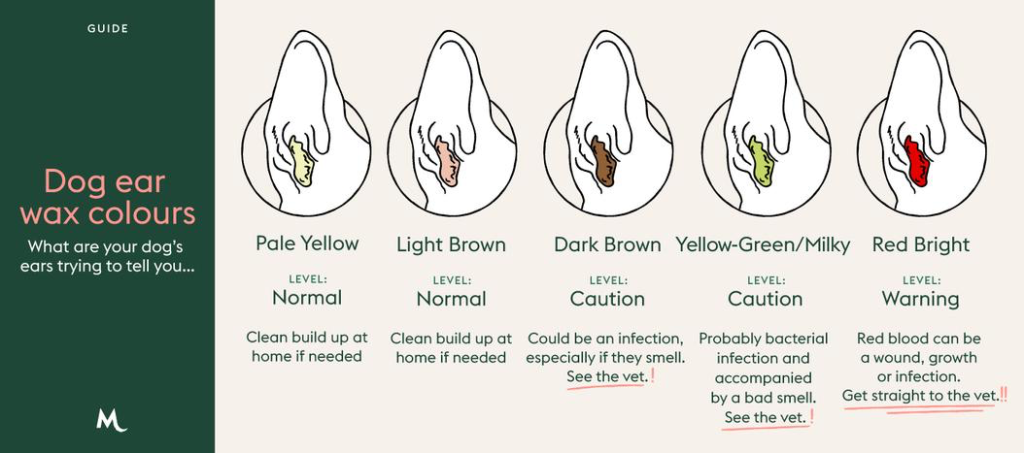 Graphic showing ear wax colour and treatment guide