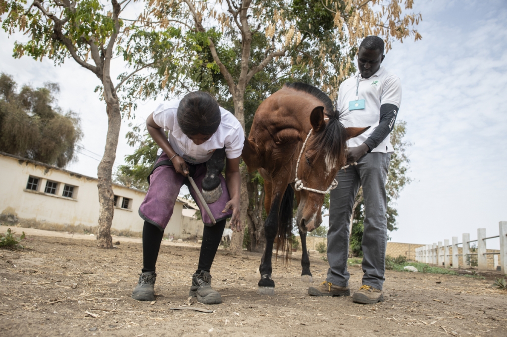 BrookeSylvain CherkaouiPanos Pictures