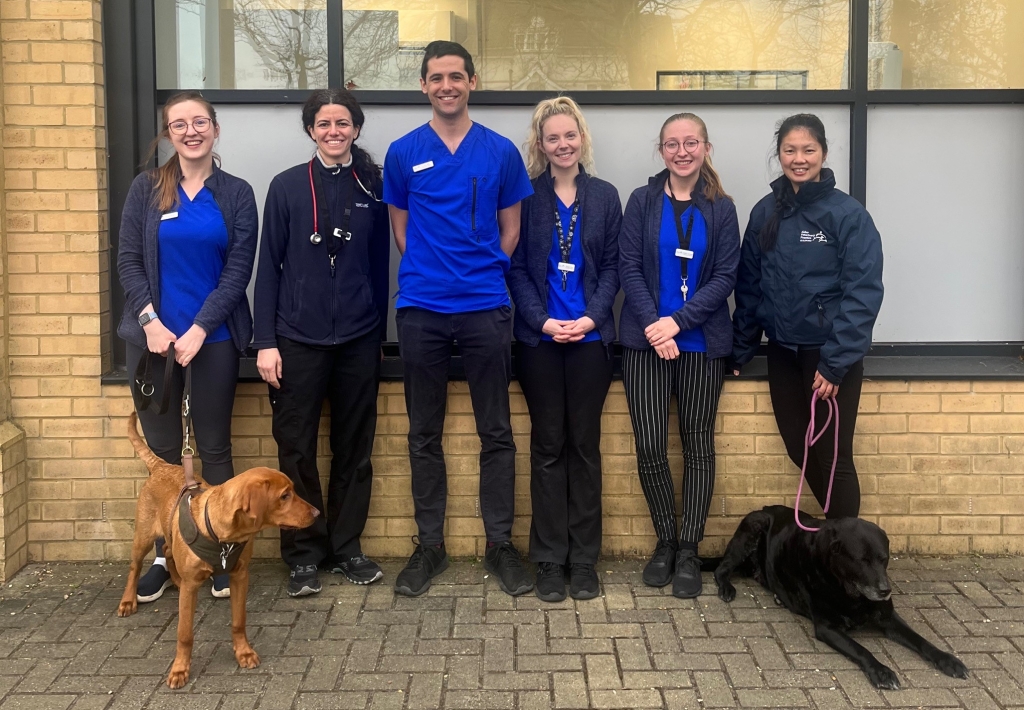 Alder Veterinary Practice in Guildford has made six key appointments. From left to right, Jade Urquhart-Gilmore, Ilaria Falcini, Alex Hill, Brogan Swan, Helena Ascough and Zoe Larum. 