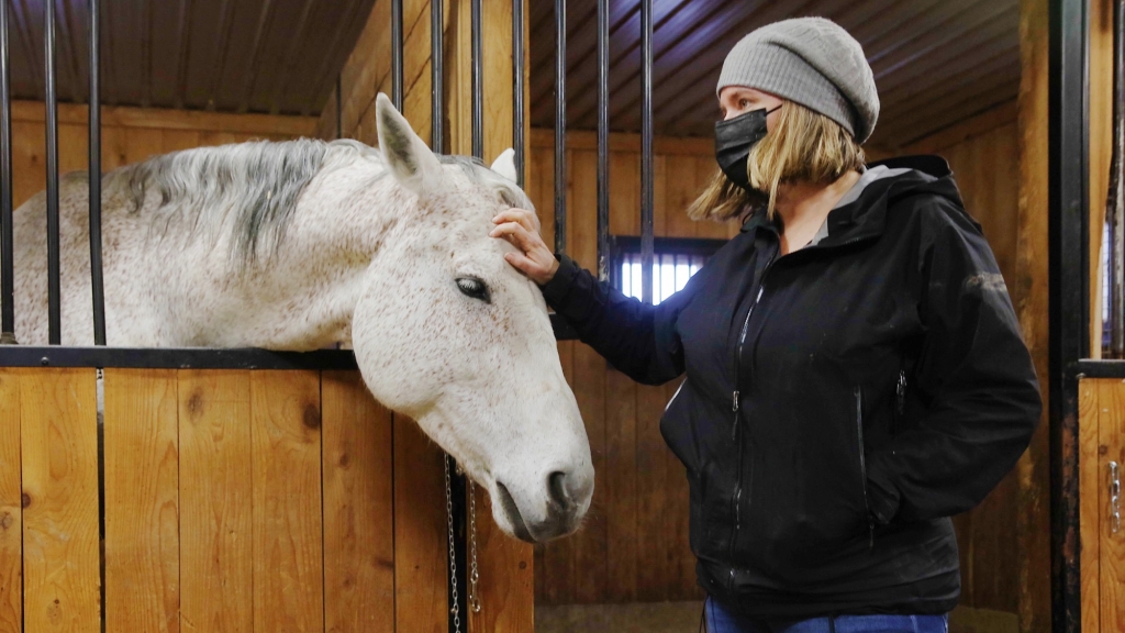Horses played an important role during the Covid-19 lockdown