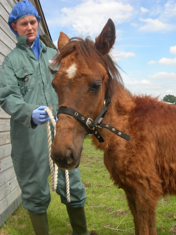 April on arrival at Blue Cross