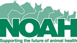 NOAH logo