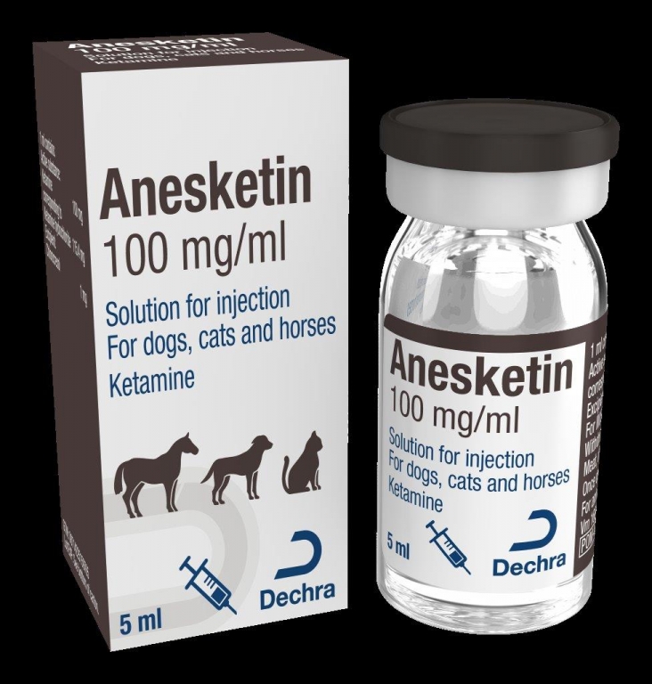 Anesketin 5 ml, a rapid acting dissociative anaesthetic licensed for cats, dogs and horses