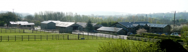 Bell Equine