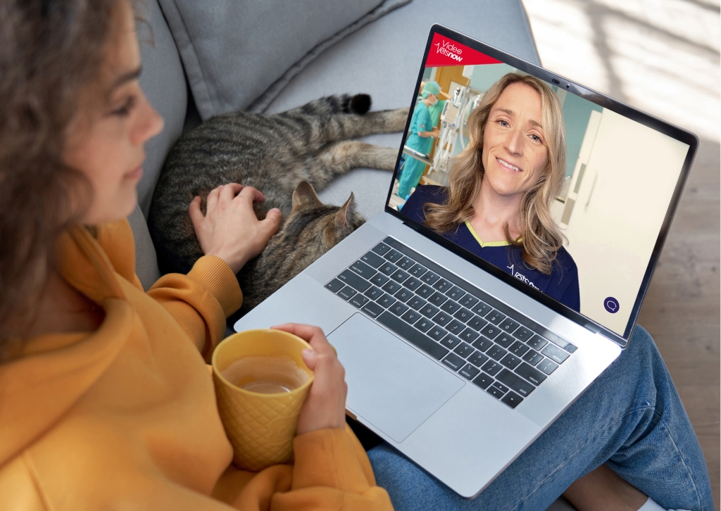 Consultation via laptop